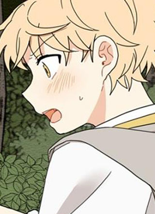 连翘花落满地 截图1