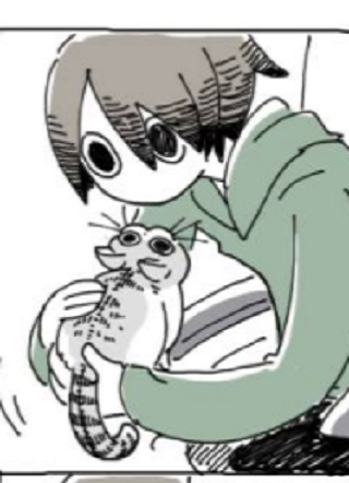 关于养猫我一直是新手 截图1