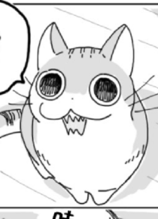 关于养猫我一直是新手 截图1