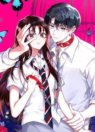 Perfect Mine 截图1