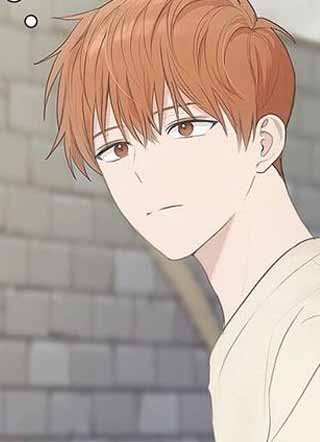 小说攻略 截图1