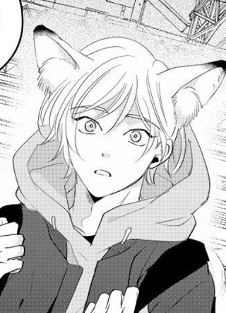 被狐狸缠身 截图1