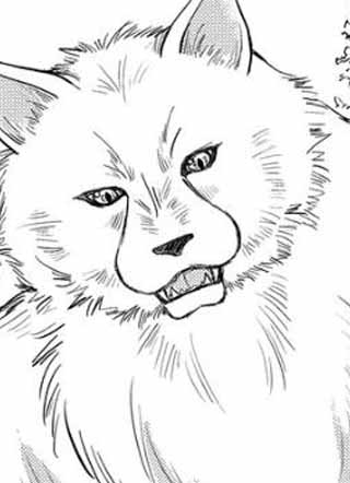 狼王子热烈求爱中 截图1