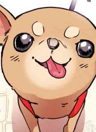 哈尼熊 截图1