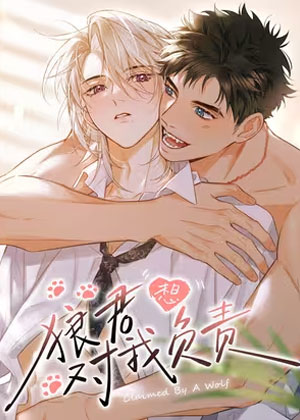 狼君想对我负责