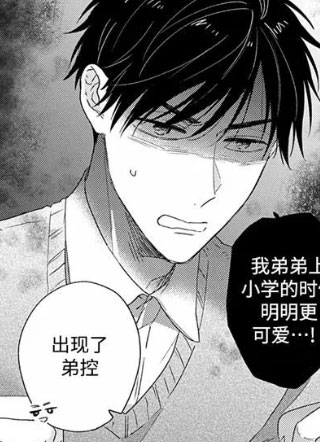 继兄弟以上，恋人未满 截图1