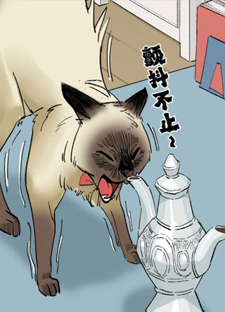 七日喵 截图1