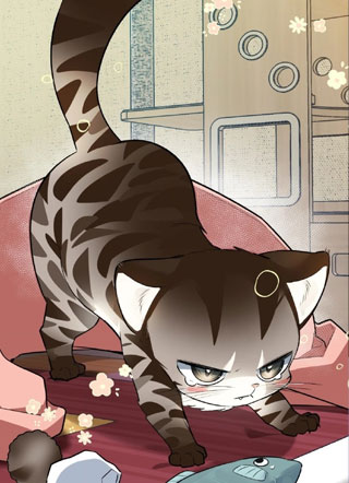 不想看我发疯就给我生小猫！ 截图1