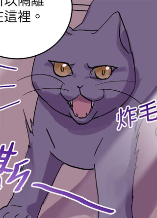 野猫训恋 截图1