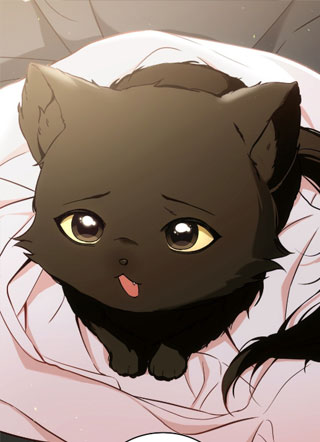 我的黑猫少年 截图1