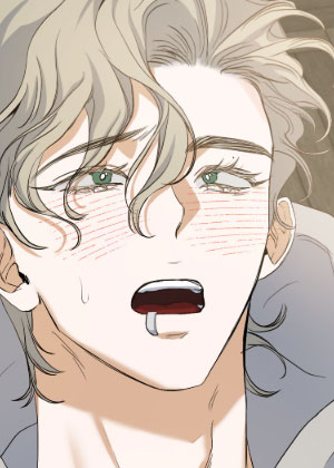 纯血人类与家养兔