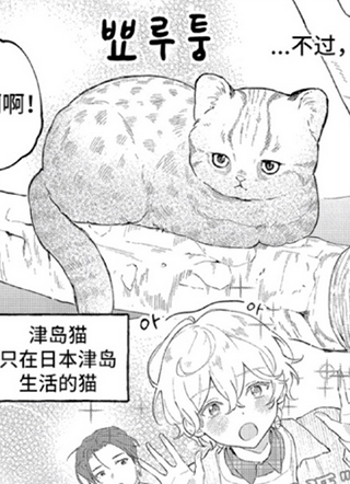 单恋研究实验室 截图1