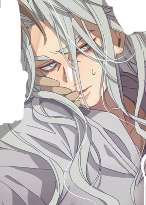 被双子宠幸的魔法师