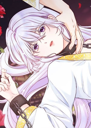 圣女的秘密之夜