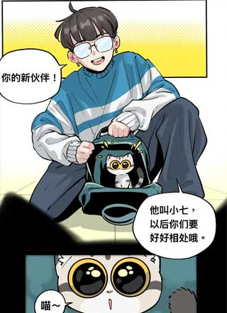 这个家里有我就够了 截图1