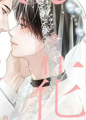 α的花嫁