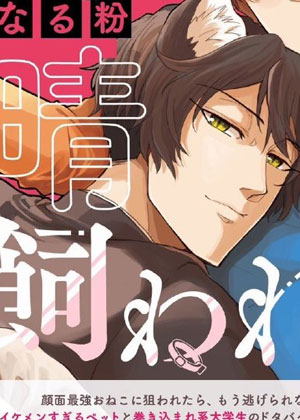 帅气小猫想要晴田只饲养他一个