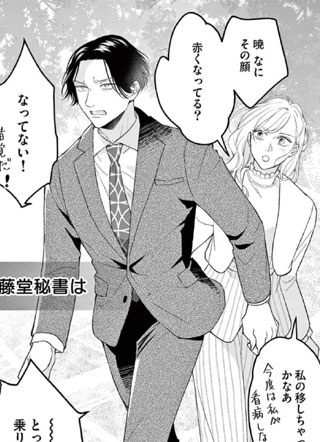藤堂秘书今天也在故作镇定 截图1