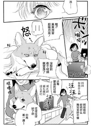 犬饲同学的小尾巴 截图1