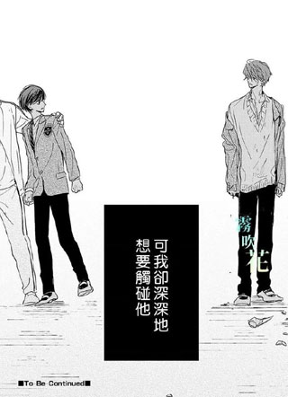 海桐花 截图1
