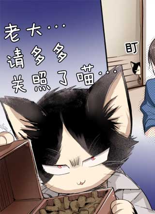 同居人是猫 截图1