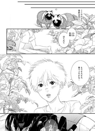 野狼先生不吃吗 截图1