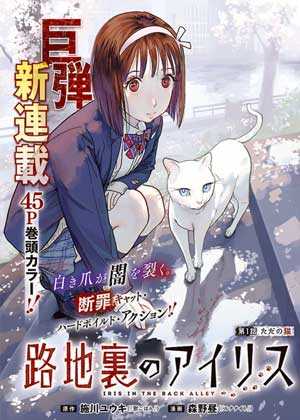 巷子里的艾莉丝