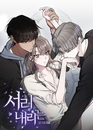 霜终会落
