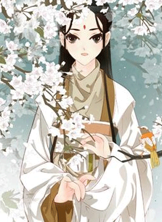 枝间片语 截图1